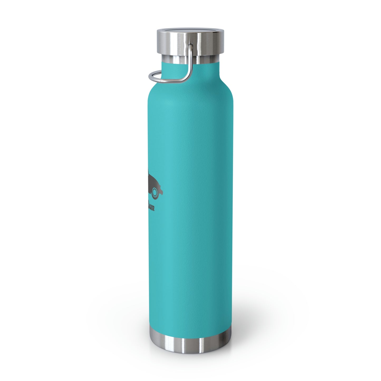 Copper Vacuum Insulated Bottle, 22oz - Beetle